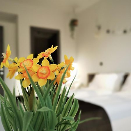 The Evergreen Nest - Silver Mountain Poiana Brasov Chambre photo