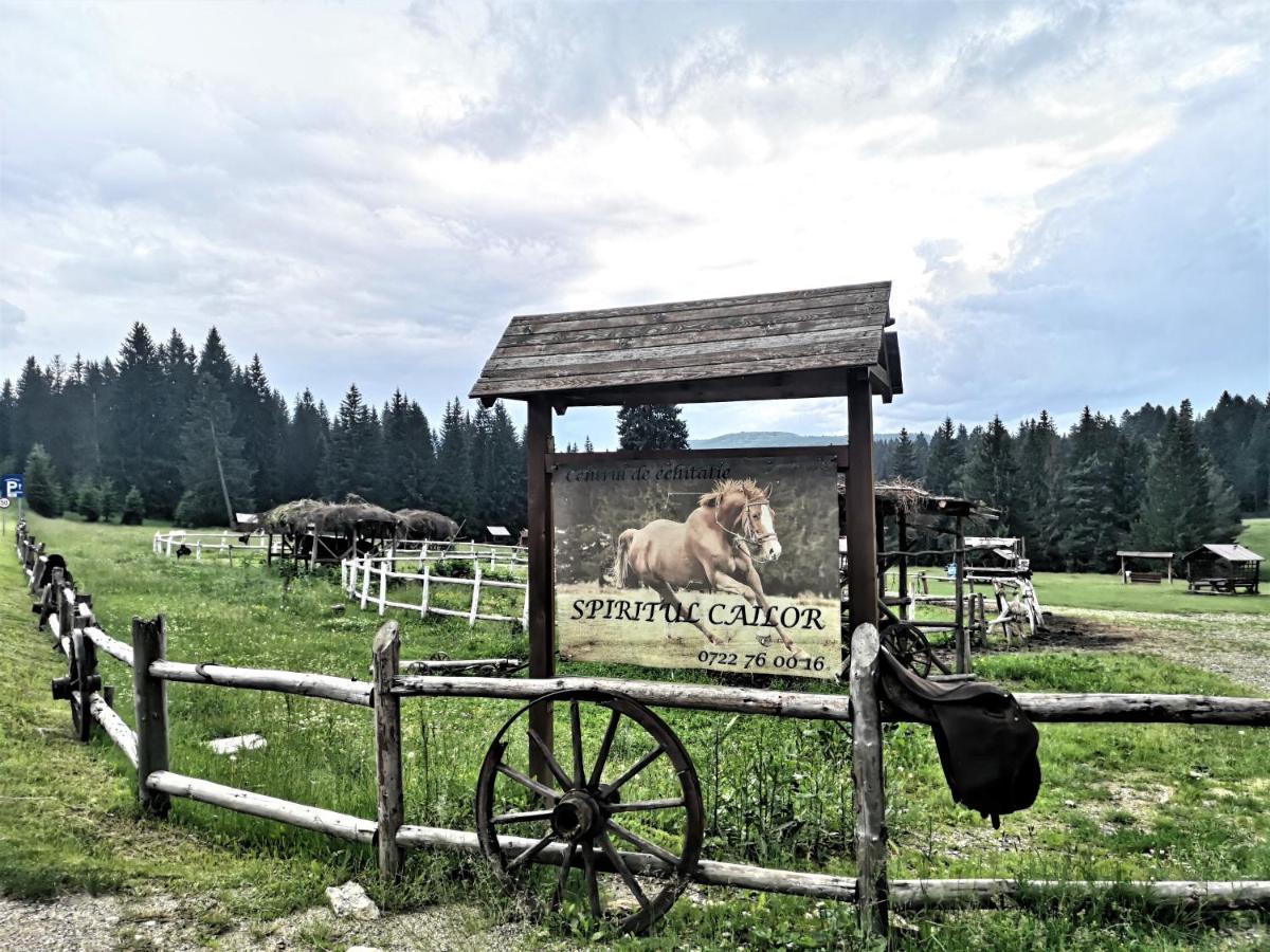 The Evergreen Nest - Silver Mountain Poiana Brasov Extérieur photo