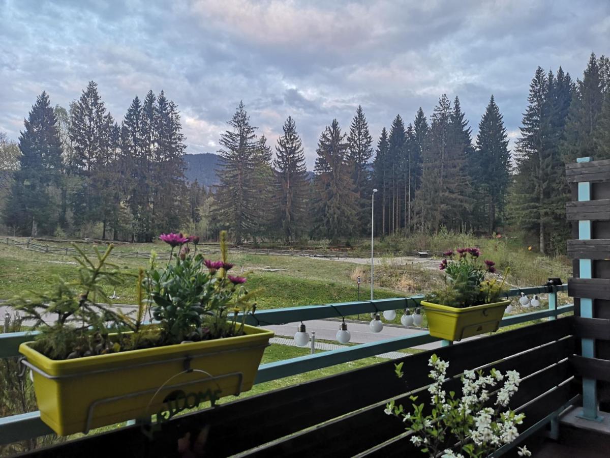 The Evergreen Nest - Silver Mountain Poiana Brasov Extérieur photo