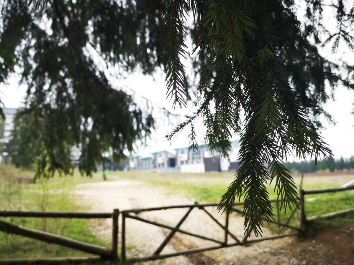 The Evergreen Nest - Silver Mountain Poiana Brasov Extérieur photo