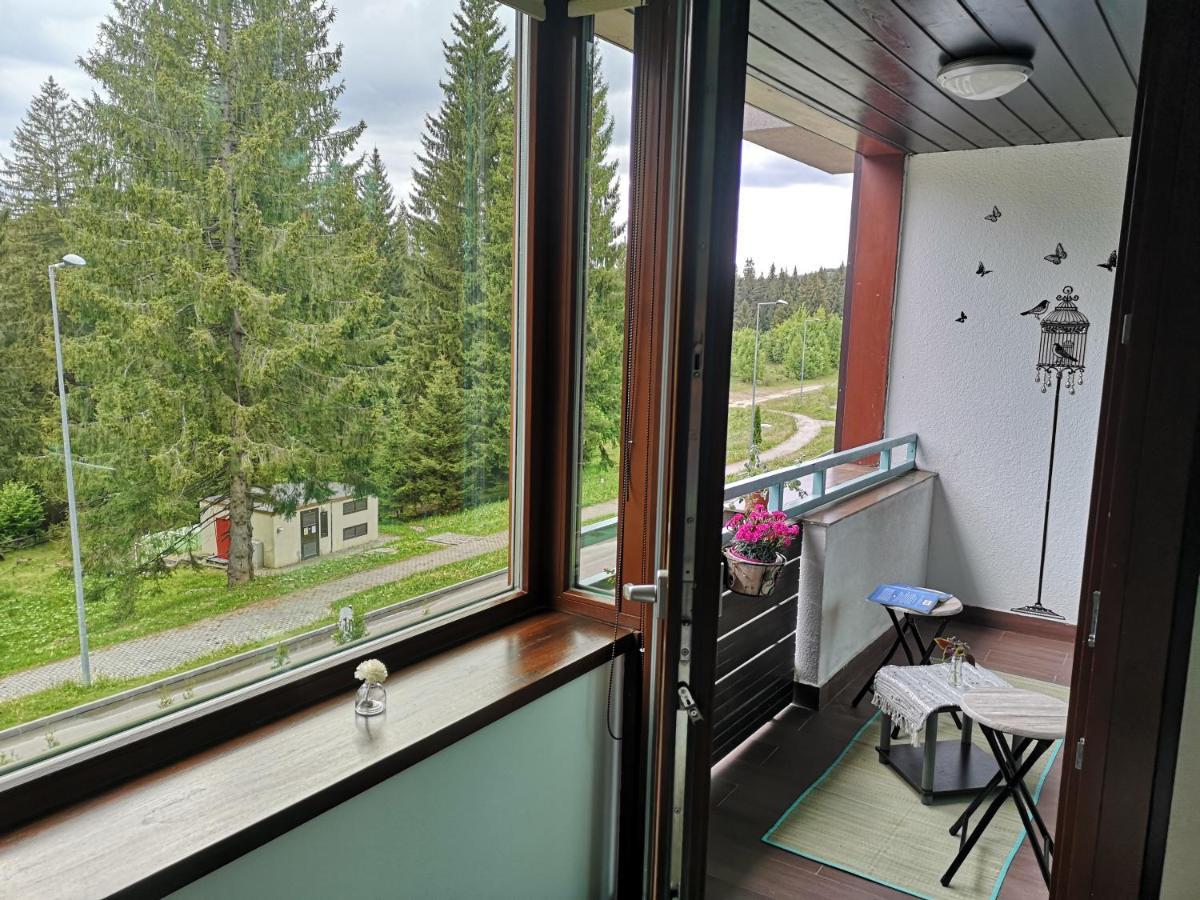 The Evergreen Nest - Silver Mountain Poiana Brasov Extérieur photo
