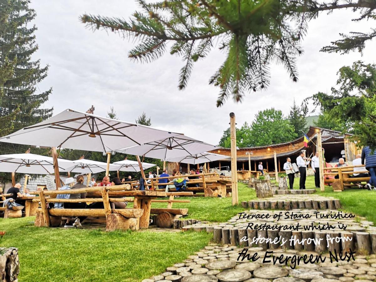 The Evergreen Nest - Silver Mountain Poiana Brasov Extérieur photo