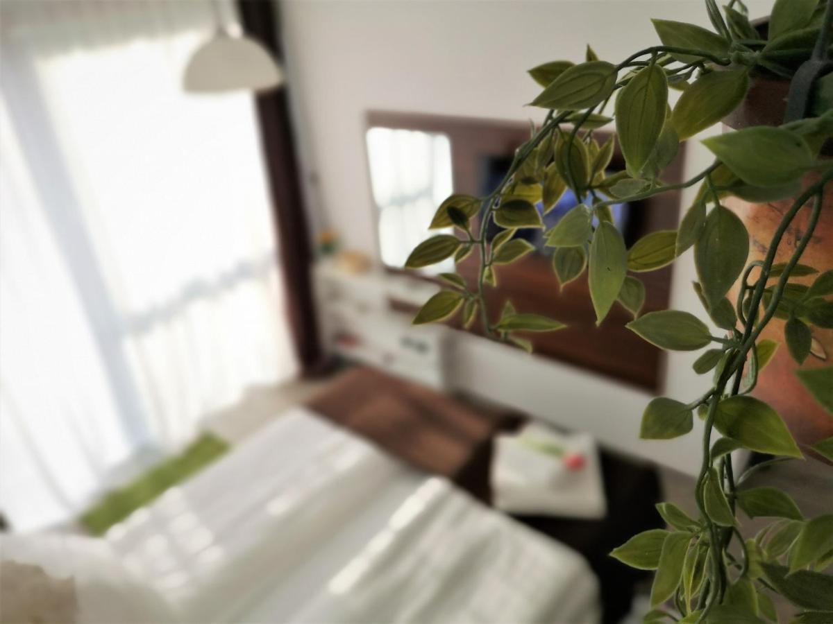 The Evergreen Nest - Silver Mountain Poiana Brasov Extérieur photo