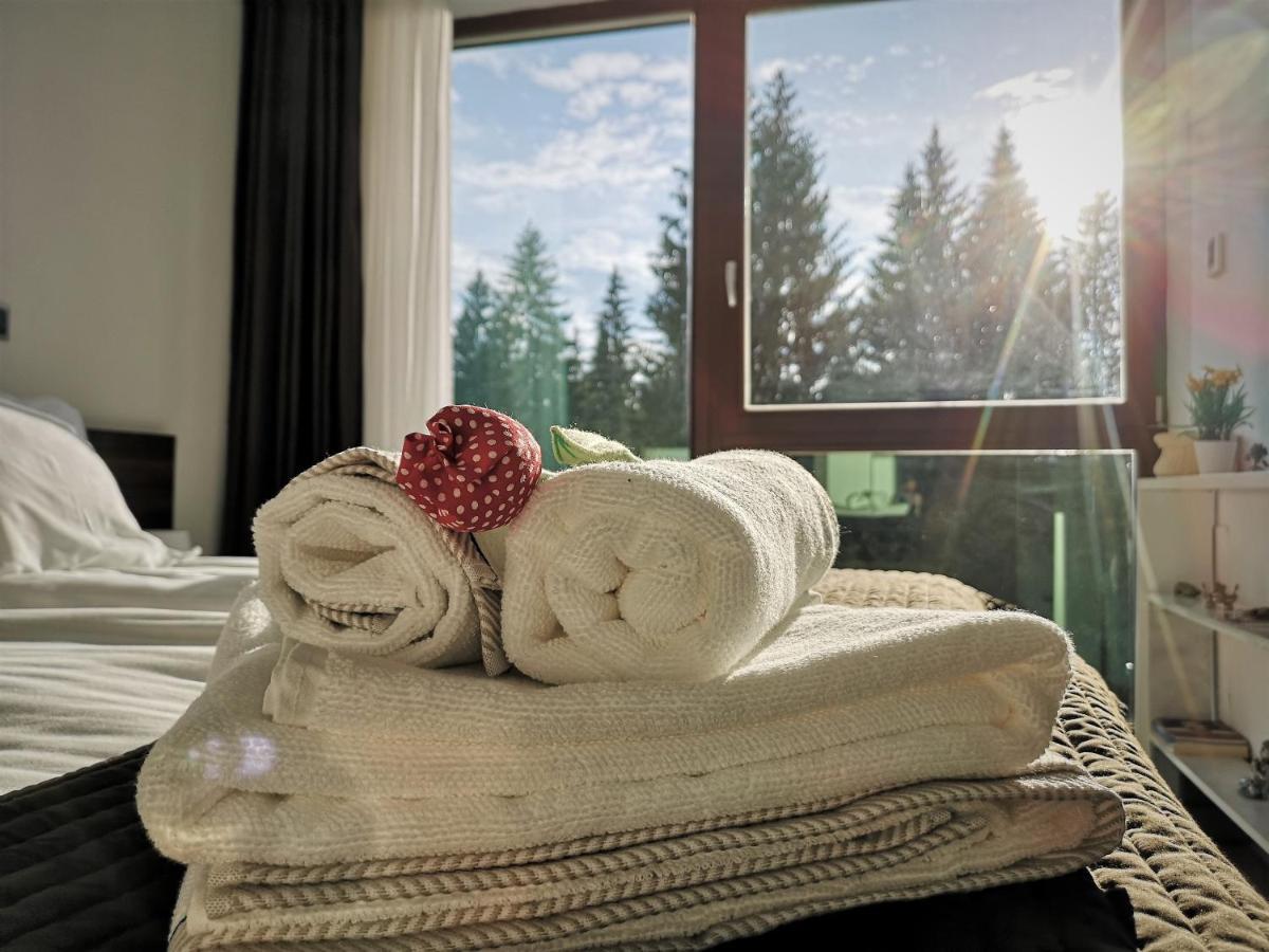 The Evergreen Nest - Silver Mountain Poiana Brasov Extérieur photo