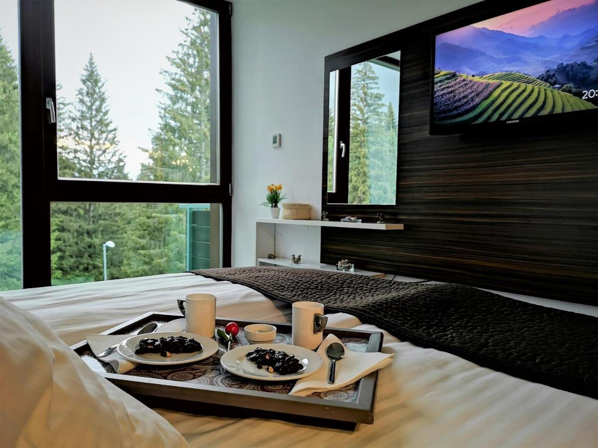 The Evergreen Nest - Silver Mountain Poiana Brasov Extérieur photo