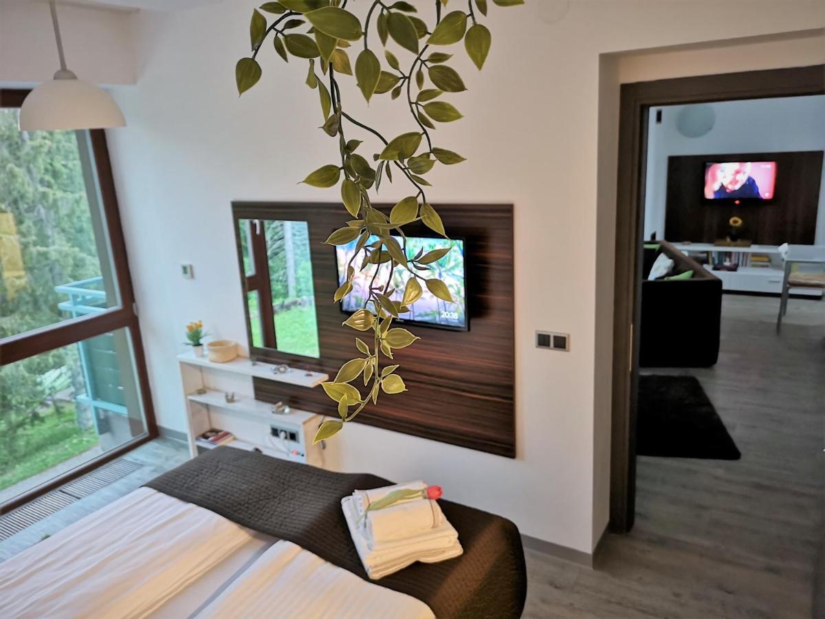 The Evergreen Nest - Silver Mountain Poiana Brasov Extérieur photo