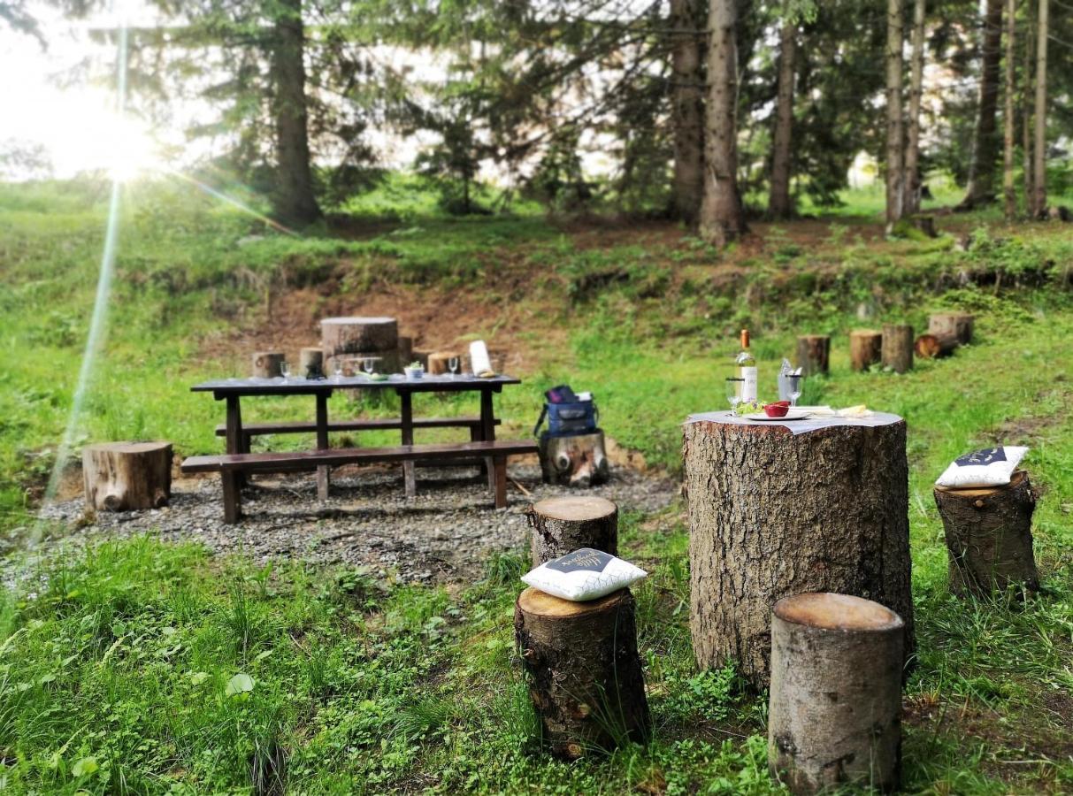 The Evergreen Nest - Silver Mountain Poiana Brasov Extérieur photo
