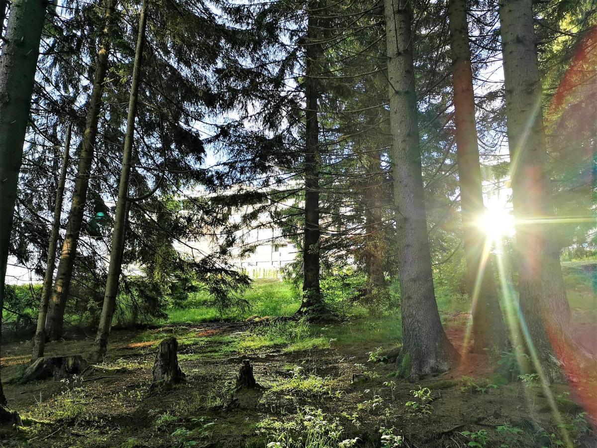 The Evergreen Nest - Silver Mountain Poiana Brasov Extérieur photo