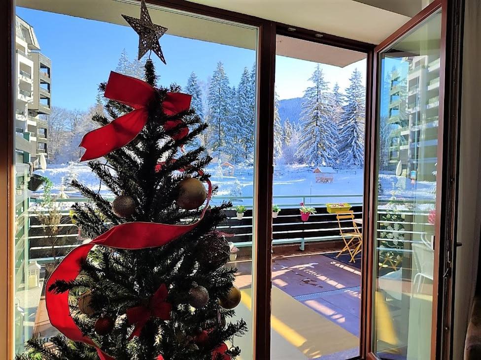 The Evergreen Nest - Silver Mountain Poiana Brasov Extérieur photo