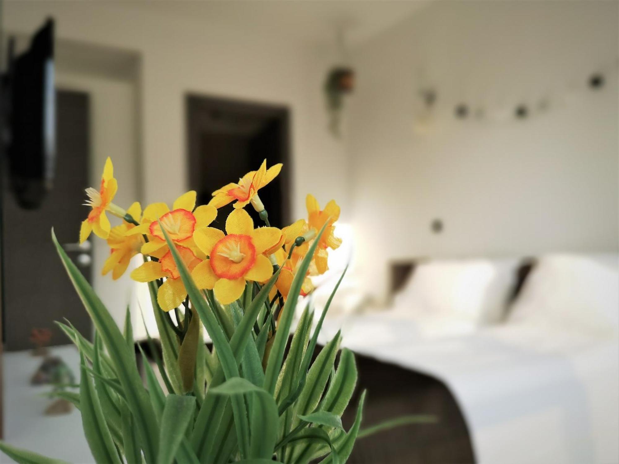 The Evergreen Nest - Silver Mountain Poiana Brasov Chambre photo