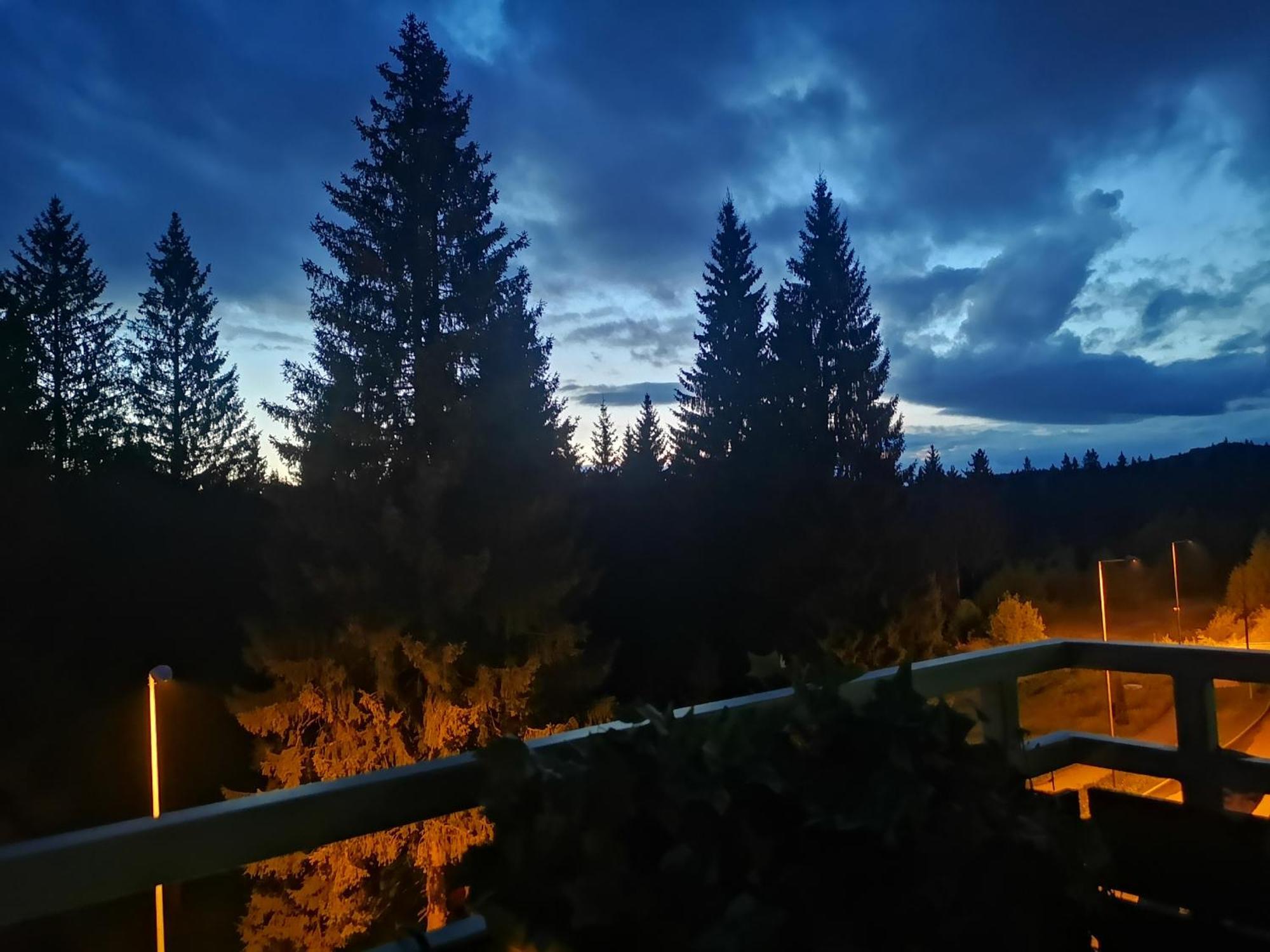 The Evergreen Nest - Silver Mountain Poiana Brasov Chambre photo