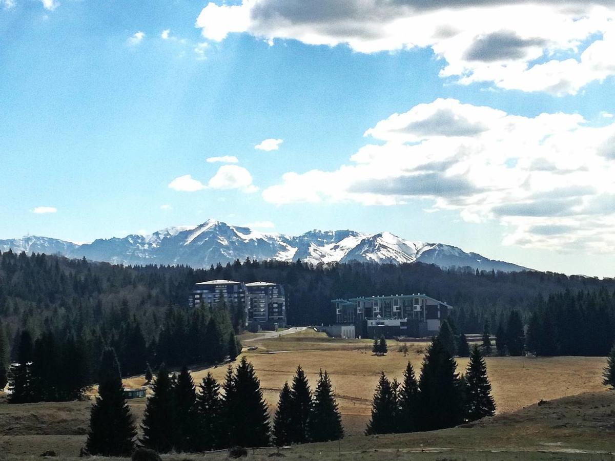 The Evergreen Nest - Silver Mountain Poiana Brasov Extérieur photo
