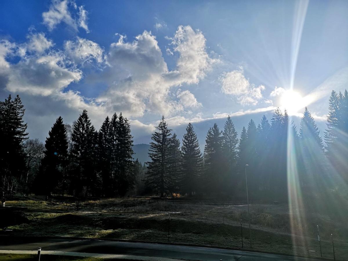 The Evergreen Nest - Silver Mountain Poiana Brasov Extérieur photo